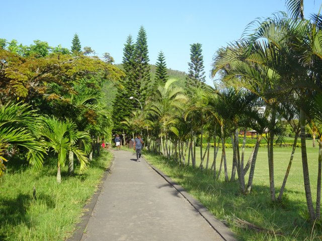 L'allée empruntée au retour est très fréquentée