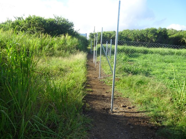 Le sentier bordé de grillage en direction de la ville