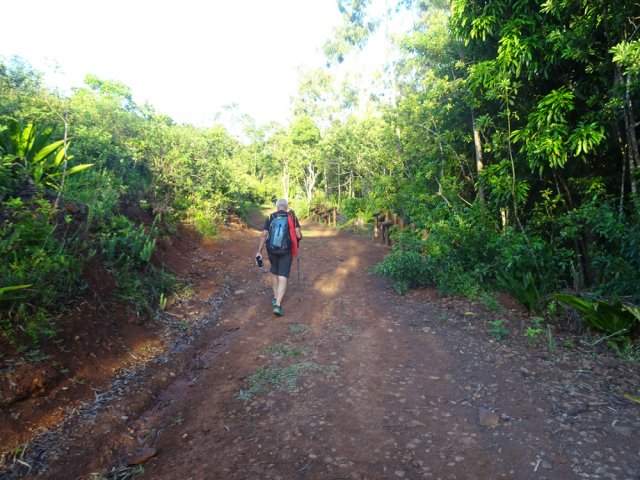La montée est raisonnable et la marche agréable