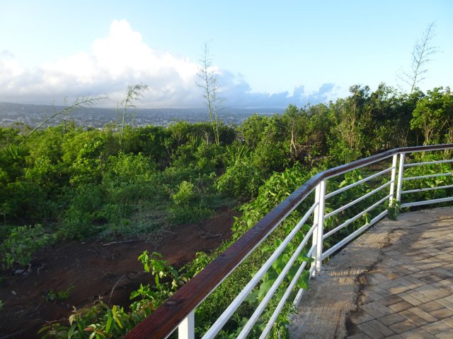 Panorama caché par les arbres, donc décevant