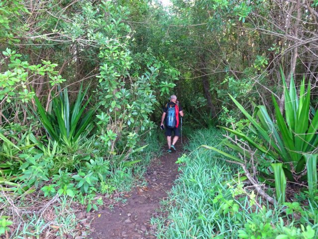 Le début du sentier menant aux rochers pour un beau point de vue