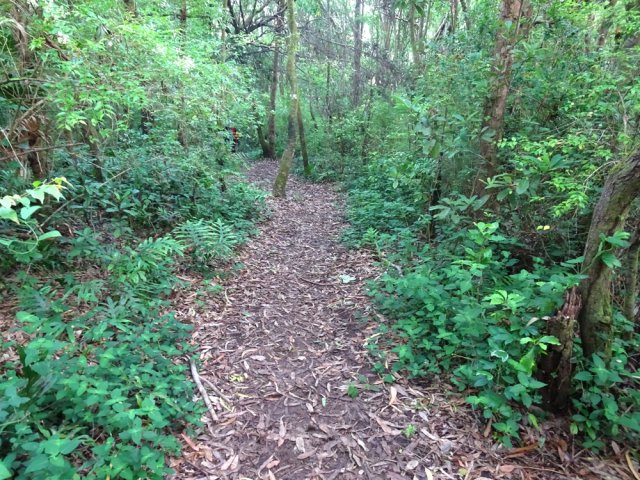 Le sentier, très fréquenté, est facile