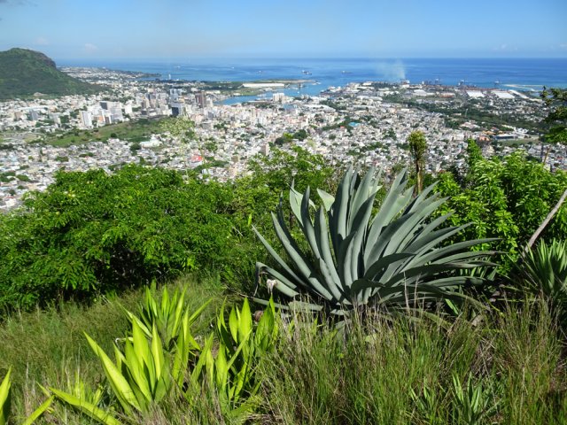 Larges vues sur le port et la grande ville