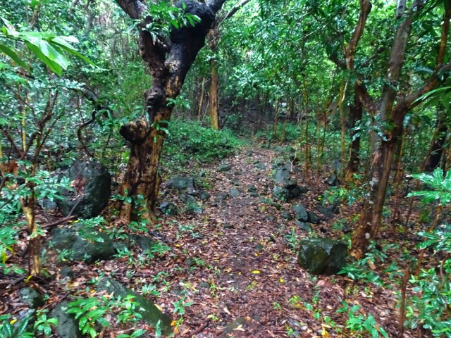 Il s'avère glissant par temps de pluie