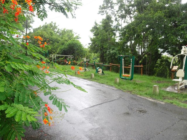 Le parcours sportif débute par des modules d’entraînement