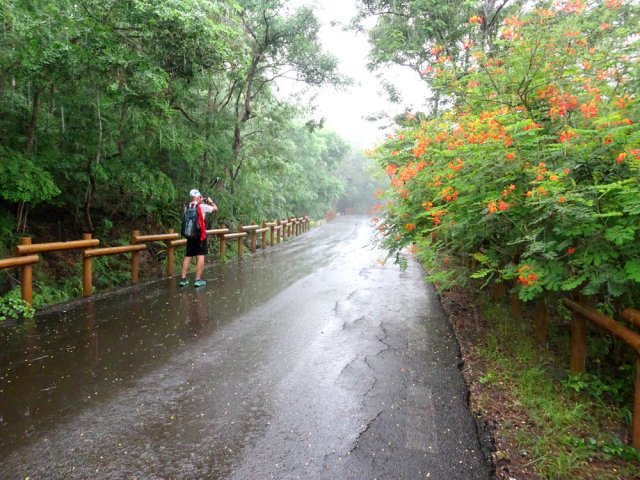 La sortie est plus agréable par beau temps !