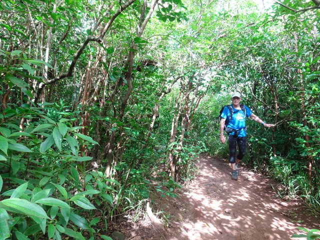 Le sentier, très fréquenté, est large et facile