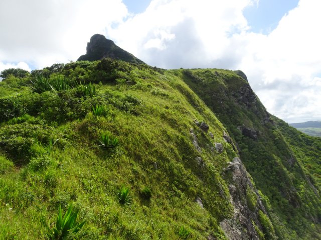 Le sommet pointu se montre de plus en plus