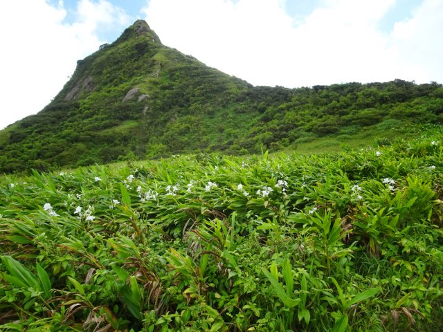 On aperçoit déjà les grimpeurs à quelques mètres du sommet