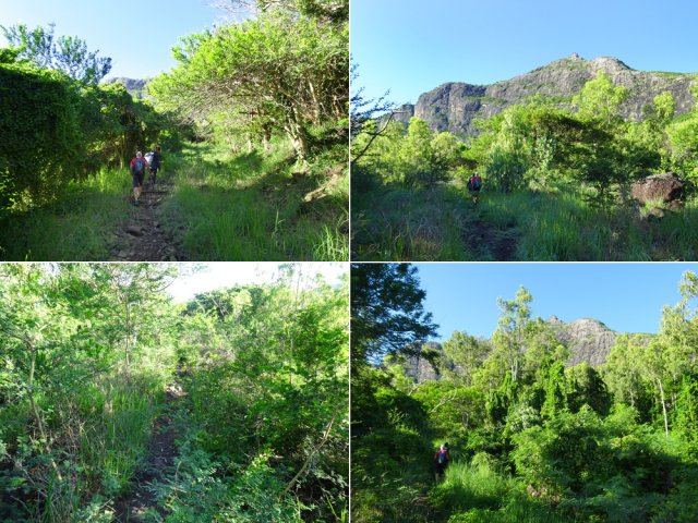 La piste transformée en sentier pour une montée moyenne