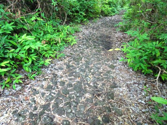 De belles portions pavées subsistent malgré le temps
