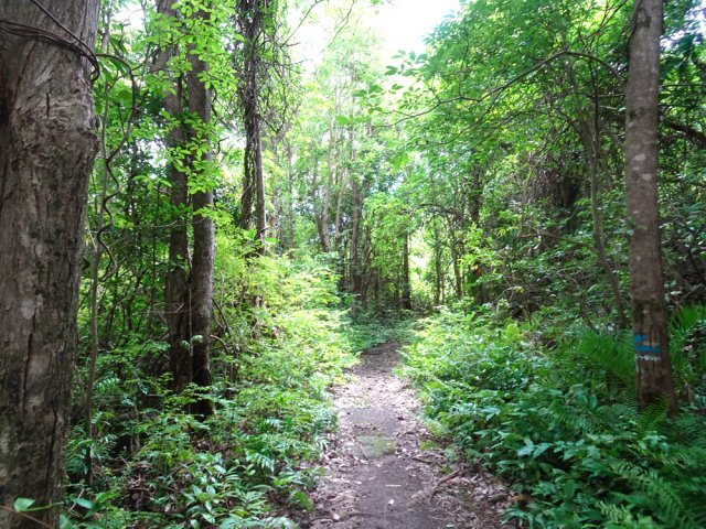 Sentier bien balisé, totalement plat