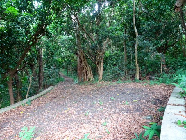 La piste venant de Tranquebar se termine près du kiosque