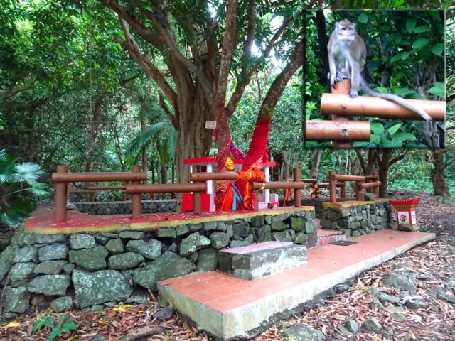 Les singes sont souvent présents dans ce temple