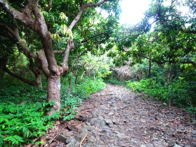 La piste, très empierrée, est en pente très douce