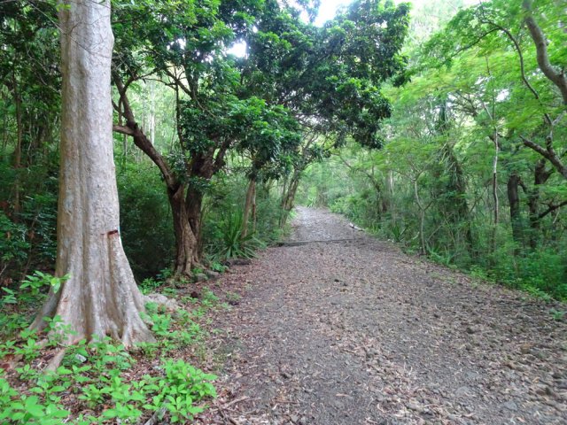 La fin de la boucle est une balade sur piste large et sans obstacle