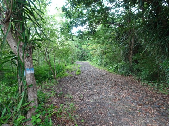 Les derniers mètres avant d'arriver à la route menant au parking