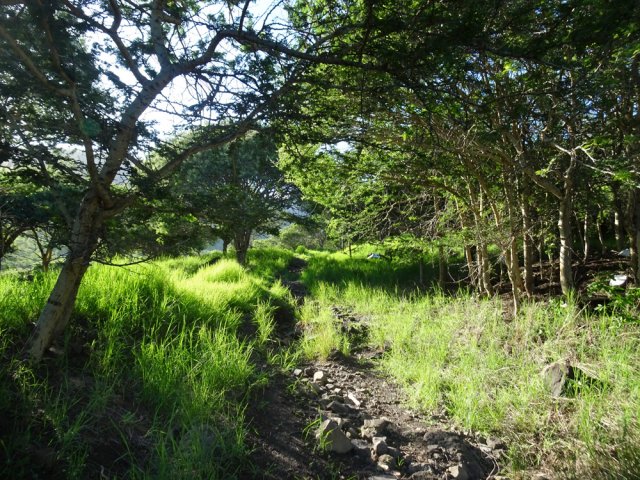 Montée facile sur un chemin peu entretenu qui se transforme en sentier