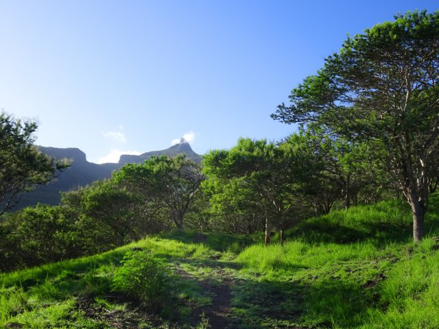 On distingue bien Le Pouce depuis les clairières