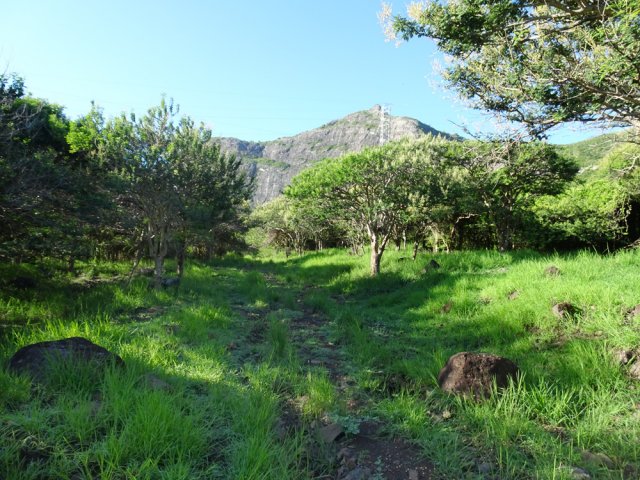 Pente faible toujours aussi facile malgré quelques pierres