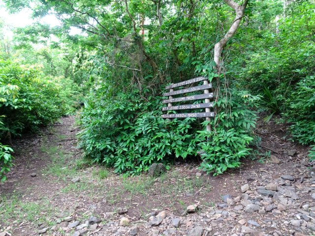Laisser le sentier de droite montant au Pouce et partir à gauche