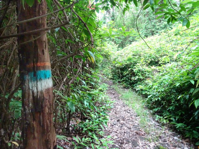 Sentier assez large, facile à suivre