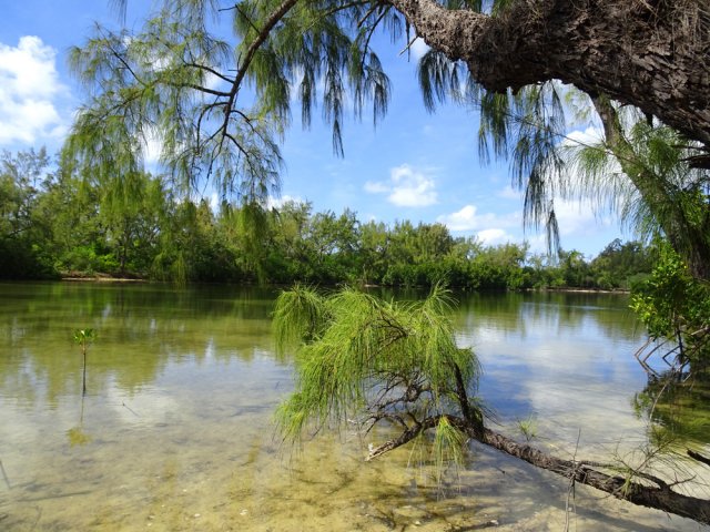 Trop peu d'eau pour nager