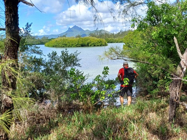 Faire demi-tour à cette dernière mangrove