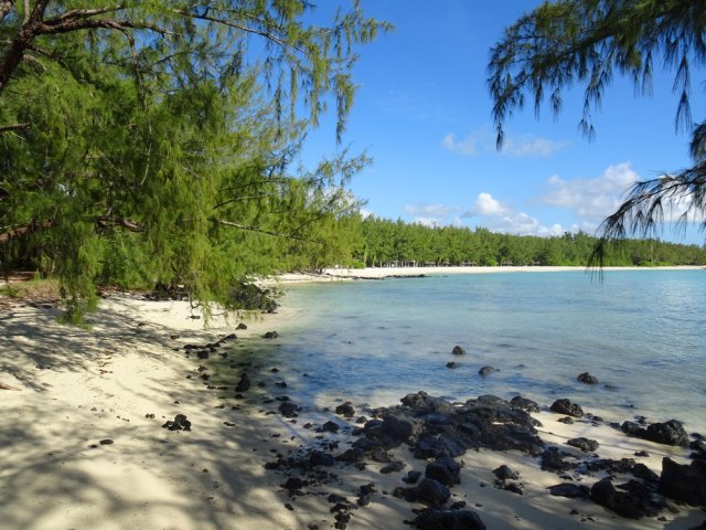 Une anse parmi de nombreuses autres
