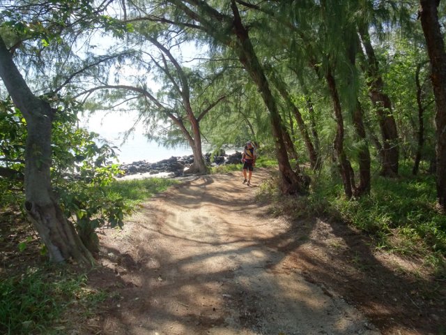 Lorsque la côte est rocheuse, emprunter l'un des multiples chemins ombragés