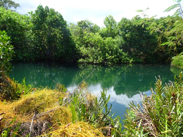 On arrive au premier trou d 'eau assez profond
