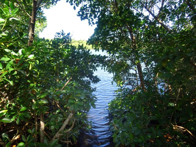 On peut rejoindre le plus grand, un véritable étang