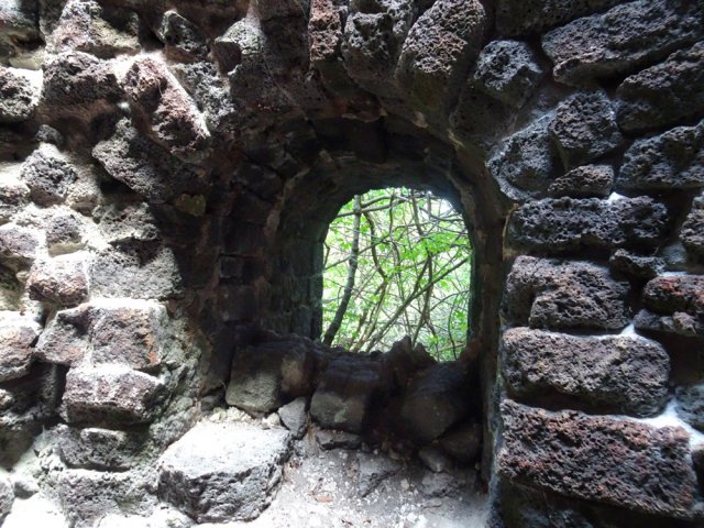 Cette "fenêtre" est trop obstruée d'épineux pour y passer