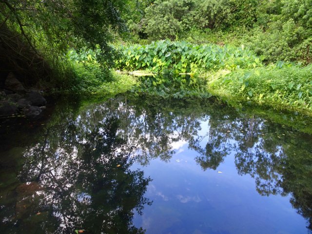Celui-ci est très fréquenté des jeunes du village