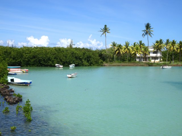 Quelques barques à l'amarrage