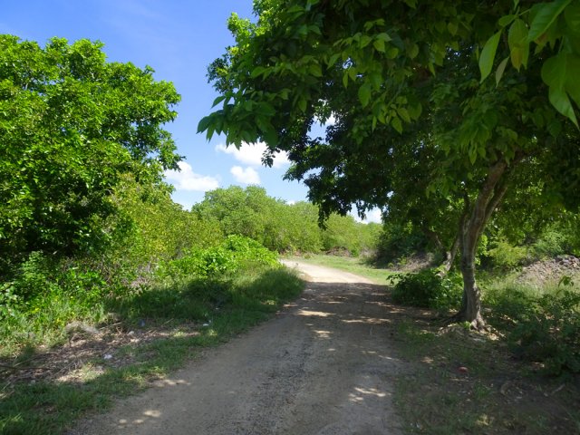 Début de la randonnée par le chemin