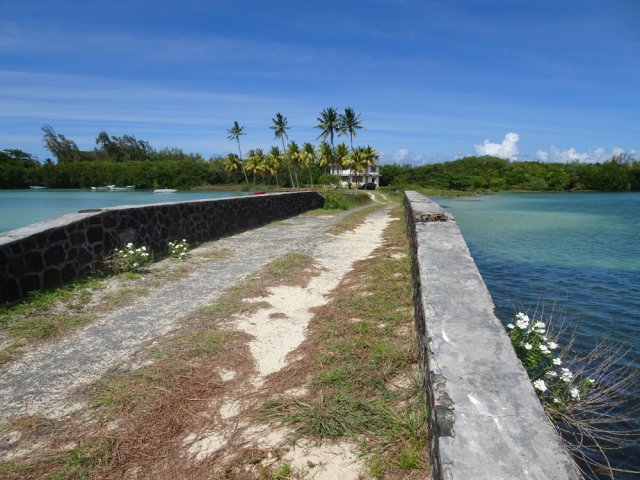 La piste, sans doute privée, mène à un bâtiment sous les cocotiers