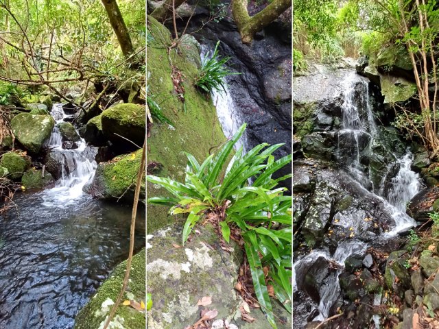 On ne compte plus les petites chutes, parfois très jolies