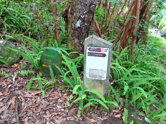 Prendre à gauche le Parakeet Trail