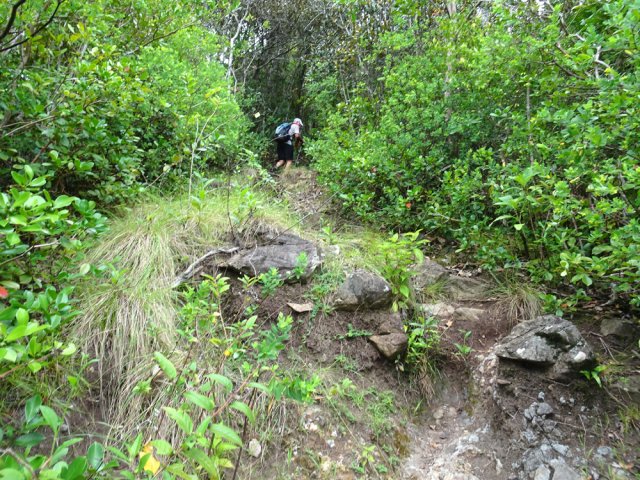 De belles marches en pierre également