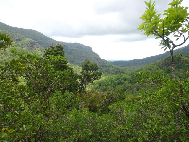 Vue vers la vallée de la Rivière Noire et le Morne Sec