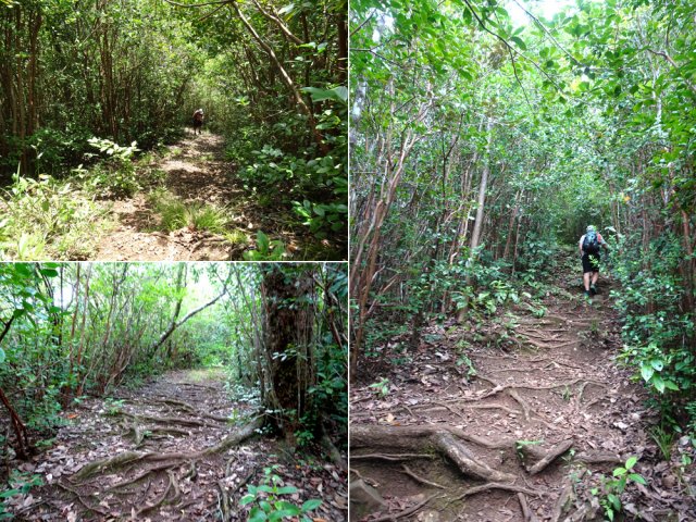 D'autres tronçons de la montée