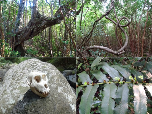 Comme toujours, profiter de la nature, vivante ou morte