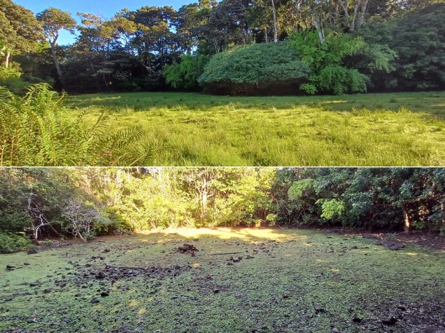 Un trou d'eau presque à sec et une clairière connue des campeurs