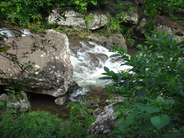 Un petit sentier se rapproche de la rivière