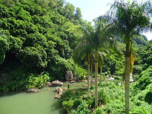 Il est bordé de palmiers royaux