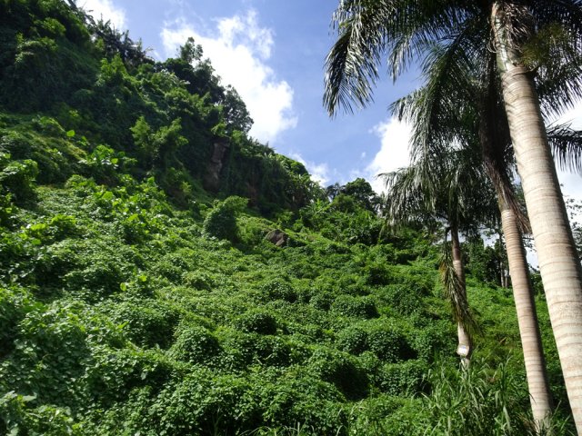 La falaise séparant du domaine