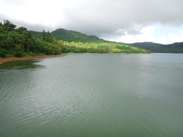 Vue du lac de la Nicolière depuis l'extrémité du ponton