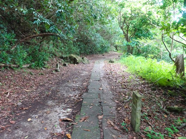 La randonnée est une balade pour tous