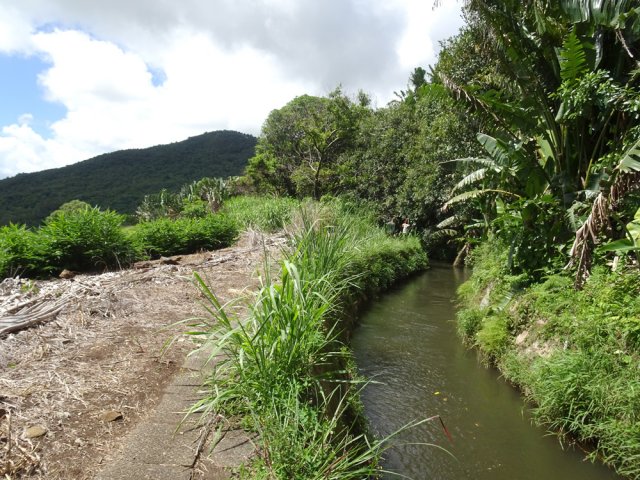 Quelques portions à nu quand il n'y a pas trop d'arbres au-dessus